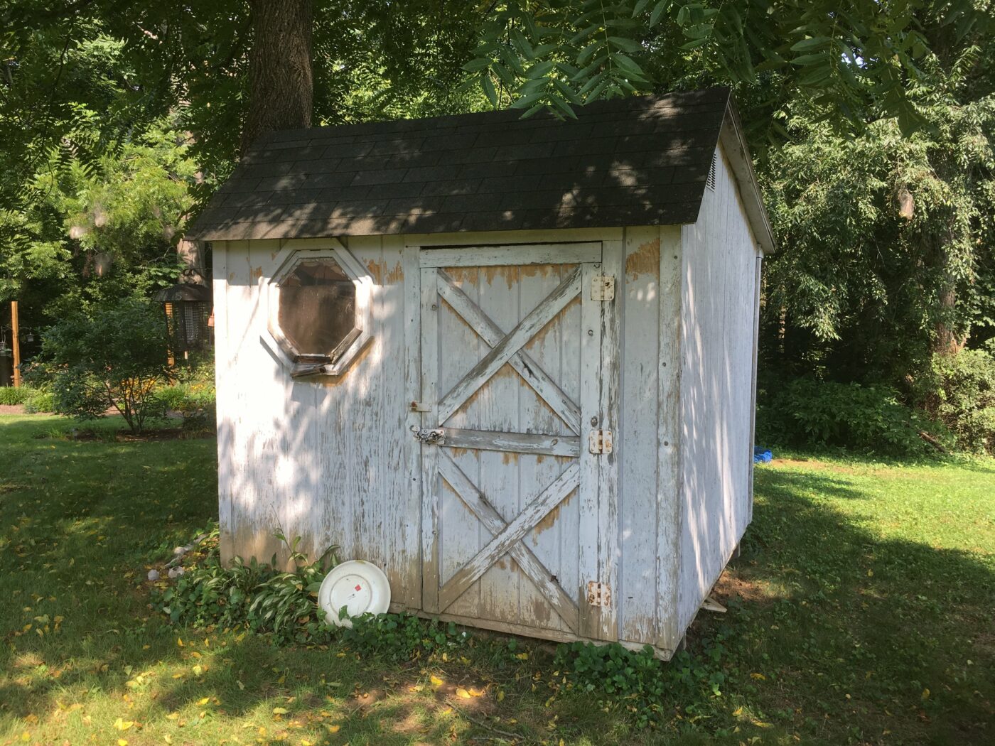 shed door replacement Lock Haven .jpg